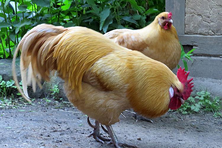 Logo Fehlerseite 404